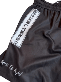 Close-up of left back side of Warrior-X fight shorts, Chinese characters with “born to fight” text